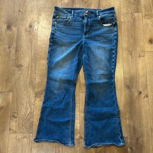 American Eagle Hi-Rise Artist Flare - Size 18 Short